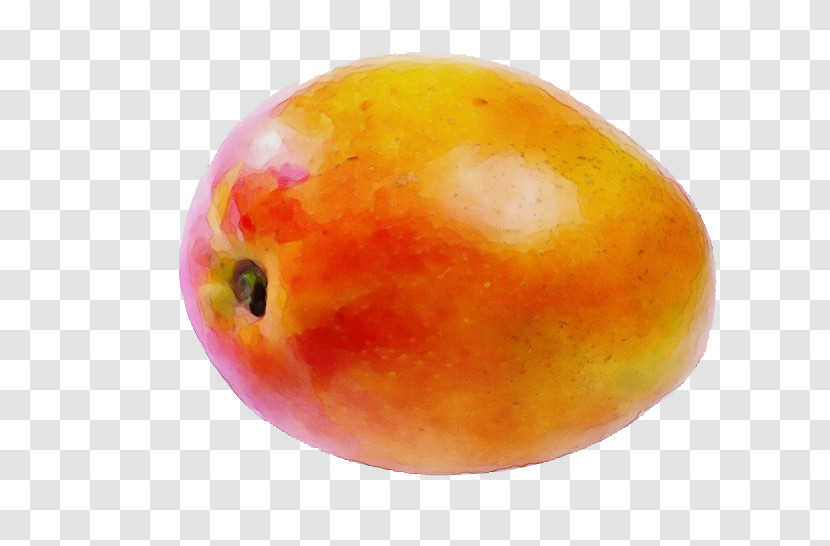 Fruit Apple Apple Transparent PNG