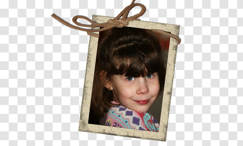 Brown Hair Picture Frames - Gile Transparent PNG
