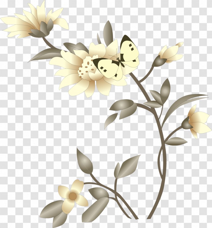 High-definition Television Flower UXGA - Wuxga Transparent PNG