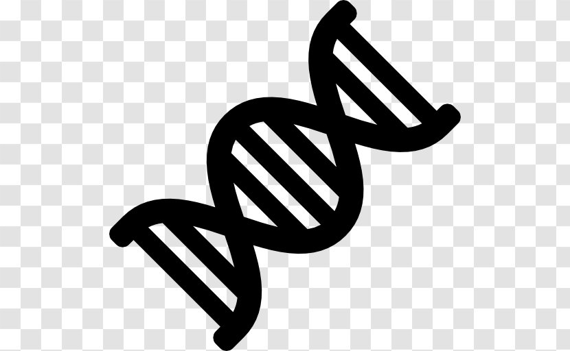 DNA - Symbol - Spacer Dna Transparent PNG