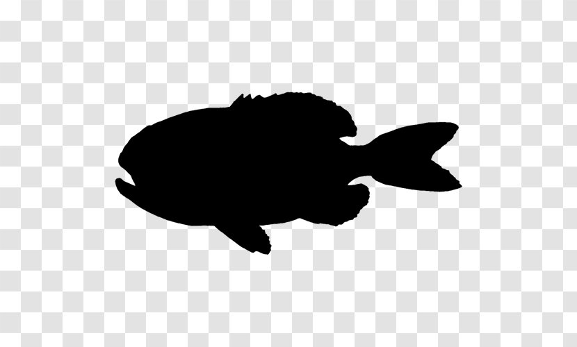 Silhouette Brown Bear Image Illustration - Fish - Photography Transparent PNG