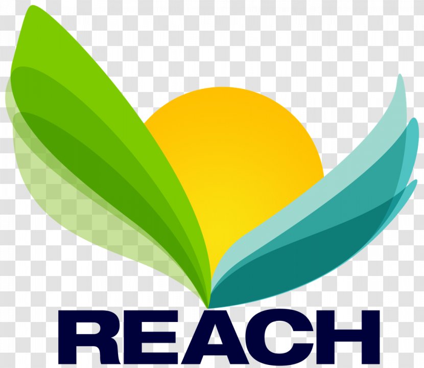 Logo Brand Product Design Health - Leaf - Certified Surgical Technologist Transparent PNG