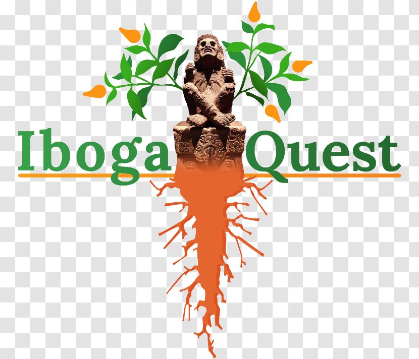 IbogaQuest Ibogaine Pharmaceutical Drug Therapy - Healing Transparent PNG