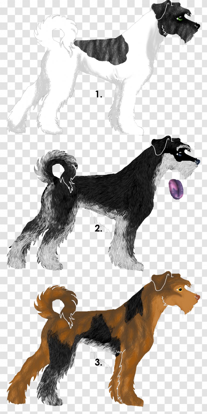 Dog Breed Paw Character - Carnivoran - Mottled Wallpaper Transparent PNG