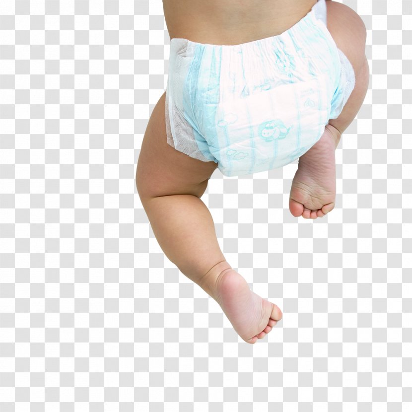 Reptile Snake Infant - Tree - Baby Crawling Transparent PNG