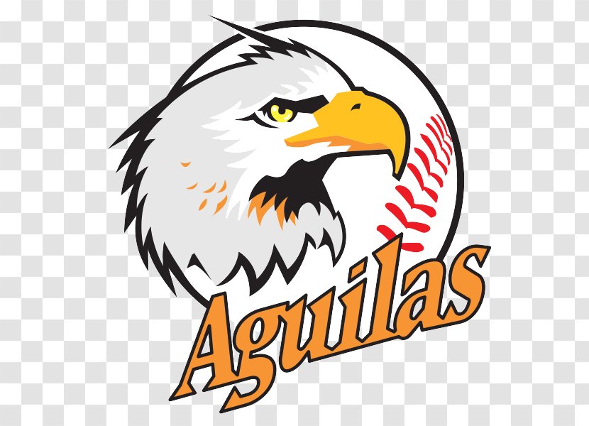 Águilas Del Zulia Maracaibo Venezuelan Professional Baseball League Tigres De Aragua Transparent PNG
