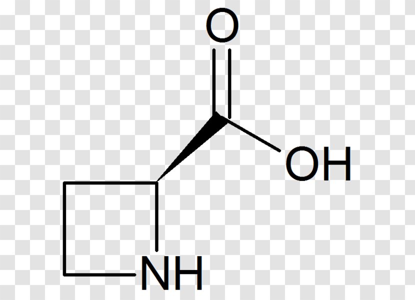Amino Acid Homocysteine Cystine Bicarbonate - Cartoon - Elrond Transparent PNG