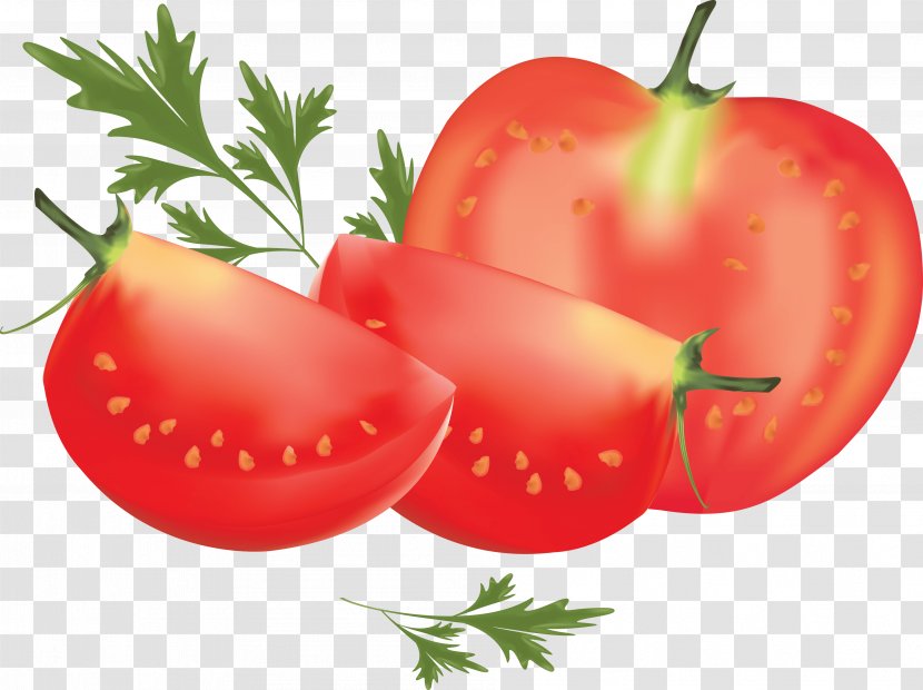 Tomato Vegetable Clip Art - Watercolor - Image Transparent PNG