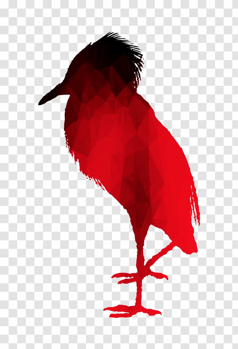 Bird Illustration Design Beak Ibis - Blog Transparent PNG