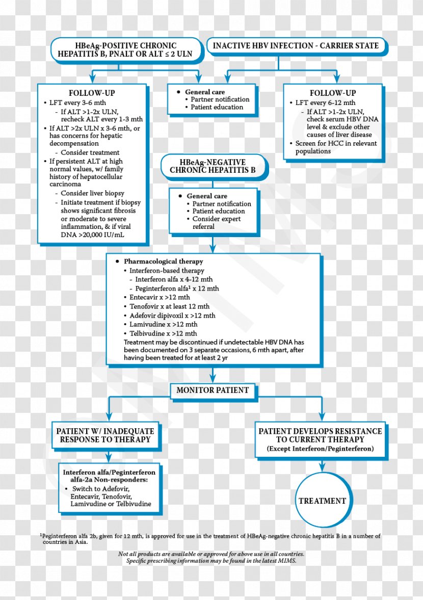 Web Page Organization Brand - Line Transparent PNG