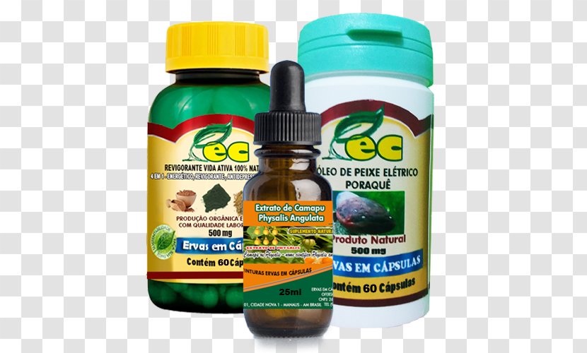 Dietary Supplement Rheumatism Myasthenia Gravis Arthritis Parkinson's Disease - Peixe Eletrico Transparent PNG