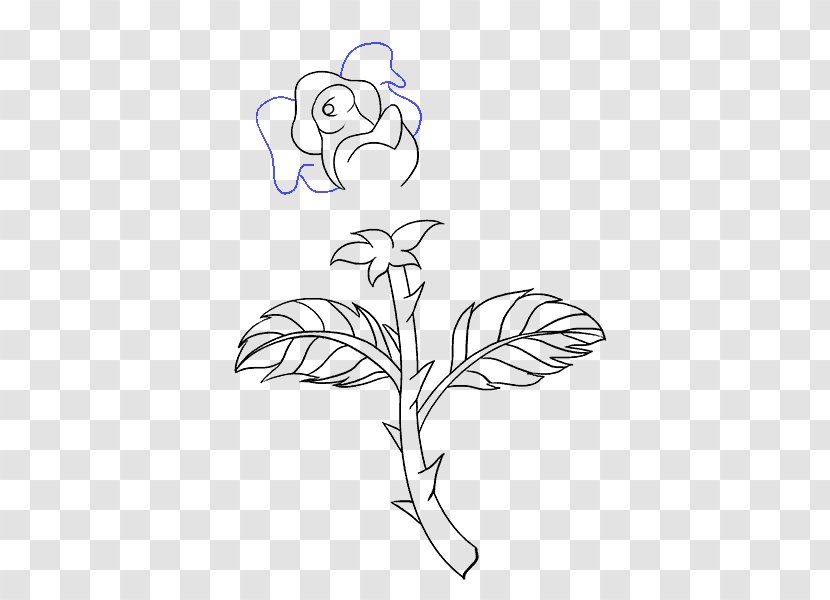 Drawing Plant Stem Rose Flower Sketch - Silhouette Transparent PNG