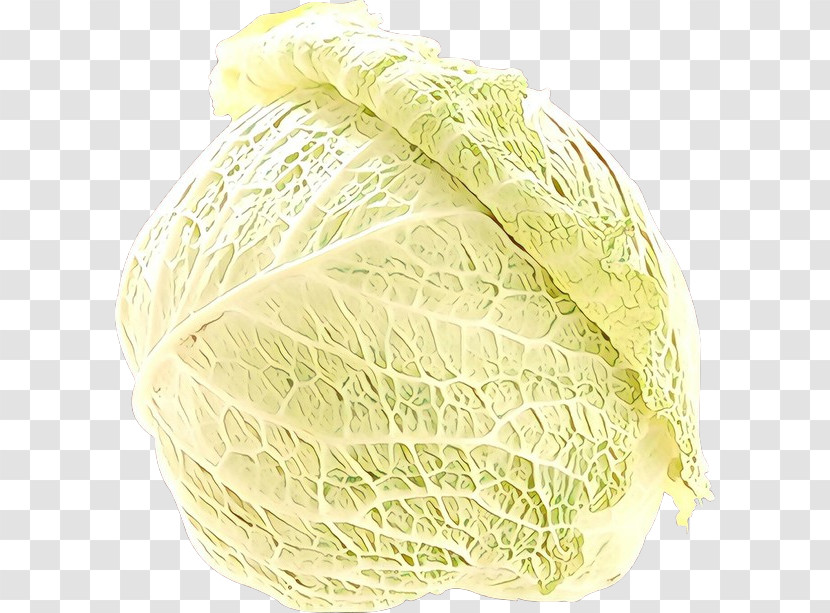 Cabbage Savoy Cabbage Vegetable Wild Cabbage Food Transparent PNG
