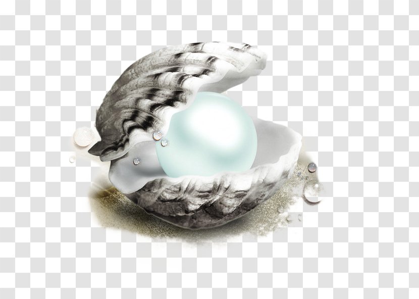 Smartwatch Pearl Android Waterproofing - Shells And Pearls Transparent PNG