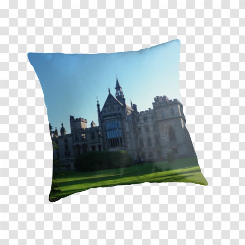 Throw Pillows Cushion Rectangle - Grass - Alton Towers Transparent PNG