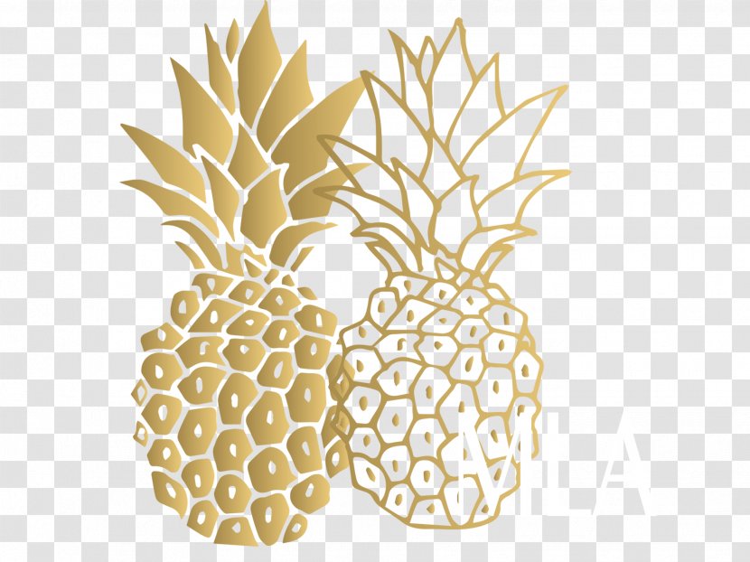 Vector Graphics Royalty-free Stock Illustration Pineapple - Plant Transparent PNG