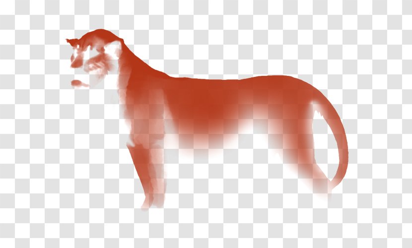 Whiskers Cat Dog Canidae Snout - Mid-cover Transparent PNG