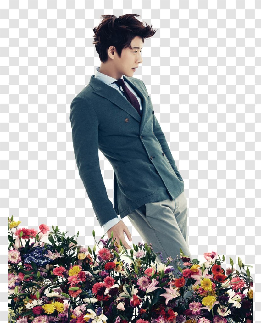 Park Hae-jin Doctor Stranger Korean Drama Actor - Floristry - Seok Transparent PNG