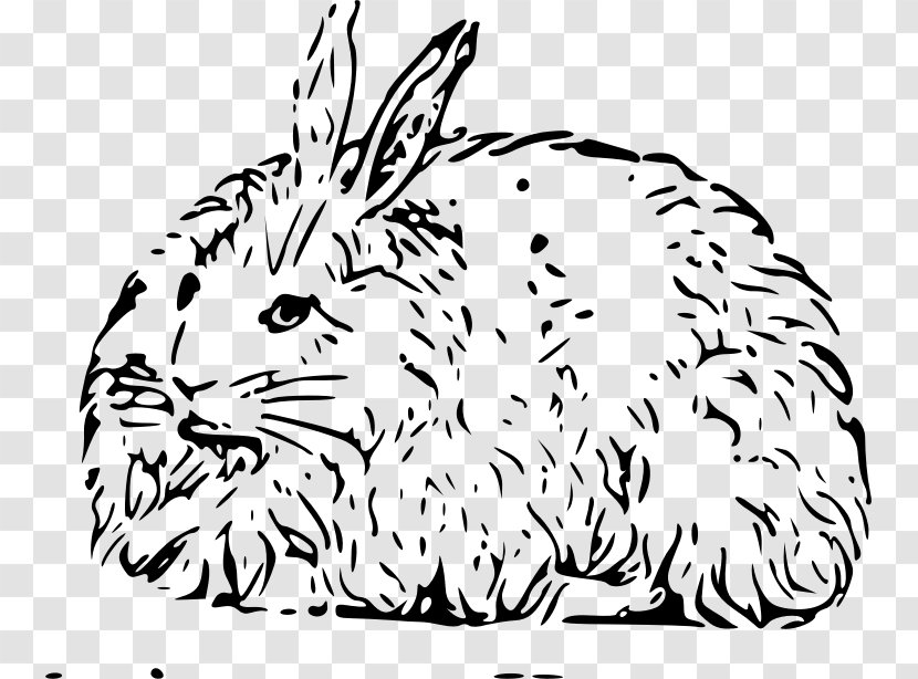 Angora Rabbit Domestic Hare Easter Bunny - Snout - Ear Hole Transparent PNG