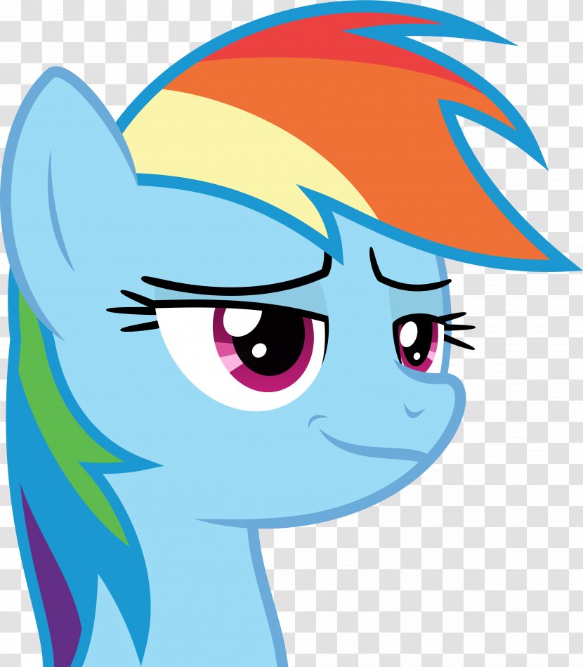 Rainbow Dash Pinkie Pie Rarity Twilight Sparkle Applejack - Frame - Campfire Transparent PNG