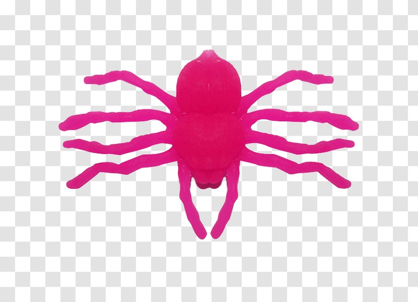 Invertebrate Pink M - Magenta - Organism Transparent PNG