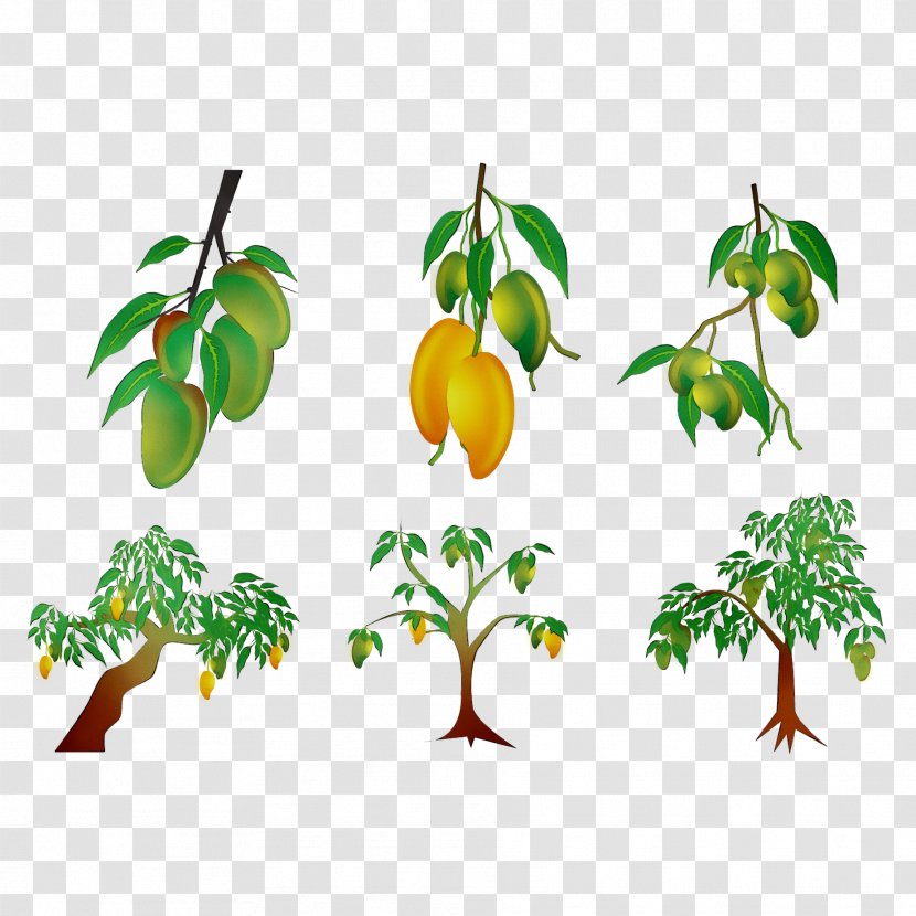 Product Plant Stem Leaf Fruit Clip Art - Tree - Branching Transparent PNG