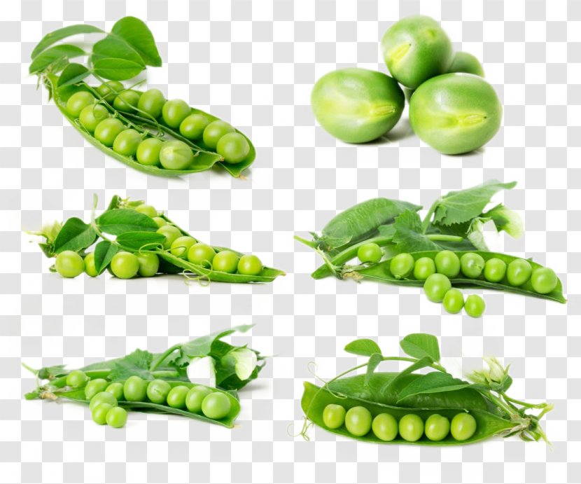 Vegetable Pea Tomato Potato - Superfood - Fresh Vegetables Transparent PNG