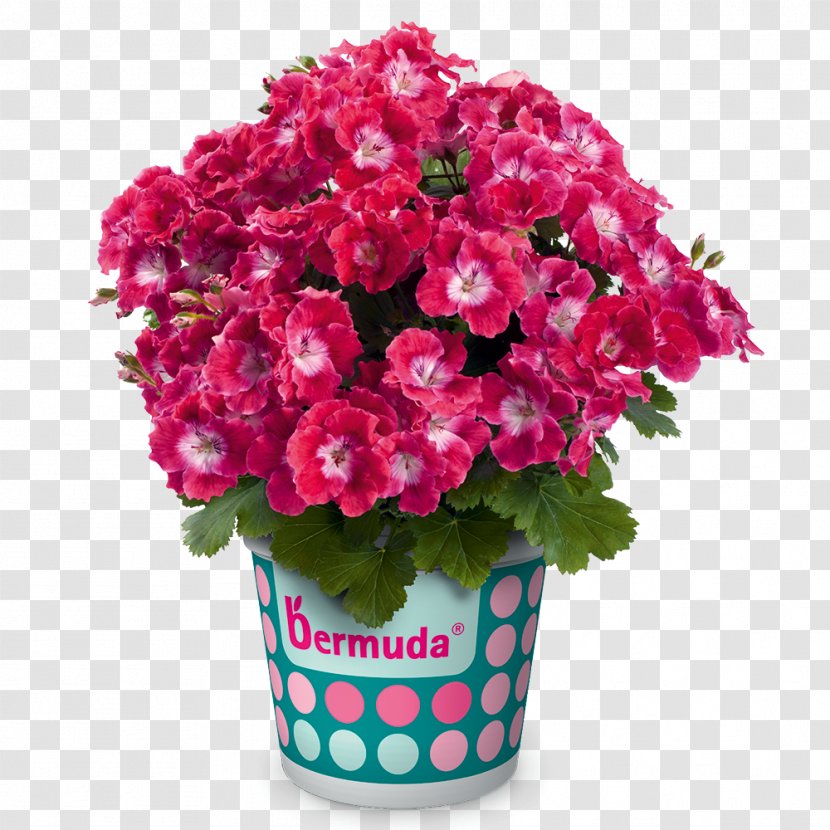 Flower Bouquet Floristry Geraniums Perennial Plant - Artificial Transparent PNG