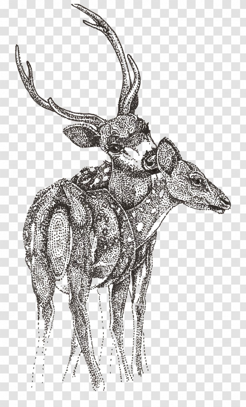 Reindeer Sketch - Wildlife - Vector Dotted Deer Transparent PNG