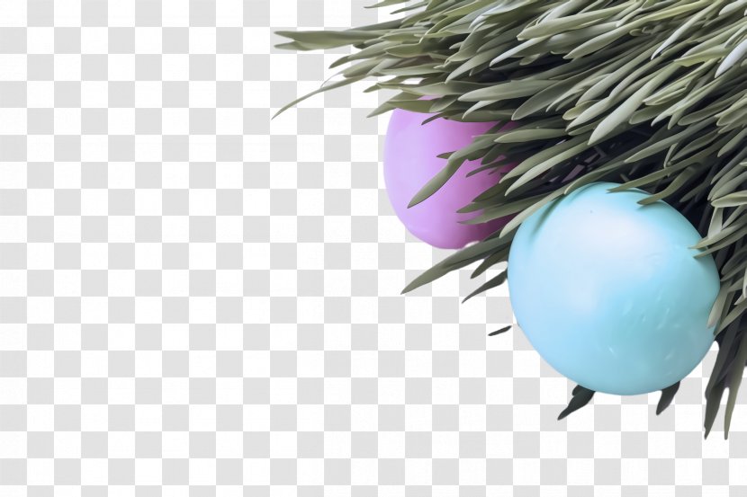 Egg - Plant Transparent PNG