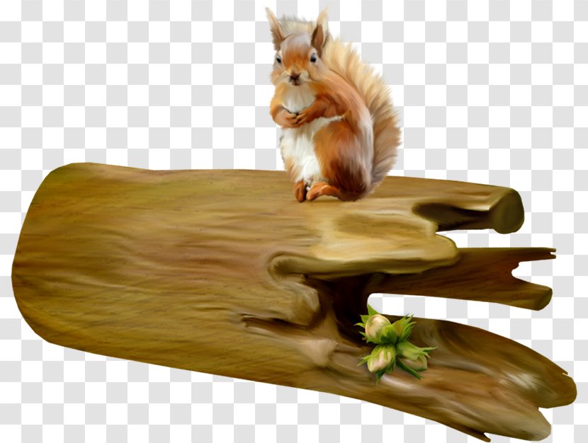 Wood Squirrel - 3d Computer Graphics - Uq Transparent PNG