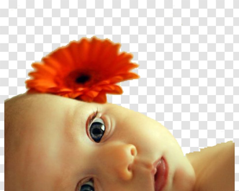 Infant Child Cheek Toddler Painting - Eyelash - Bebek Transparent PNG