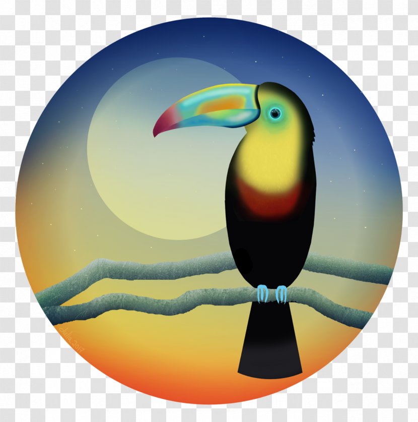 Bird Toucan Piciformes Beak Transparent PNG