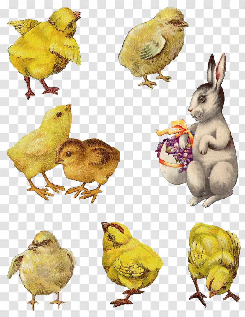 Easter Collage Cardmaking Clip Art - Beak - Watercolor Rabbit Transparent PNG