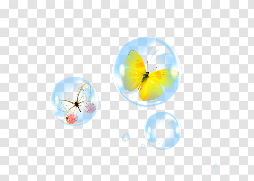 Butterfly Download - Poster - Bubble,butterfly Transparent PNG