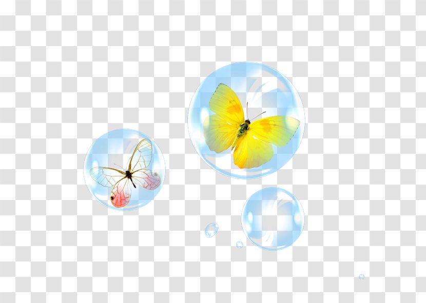 bubble butterfly