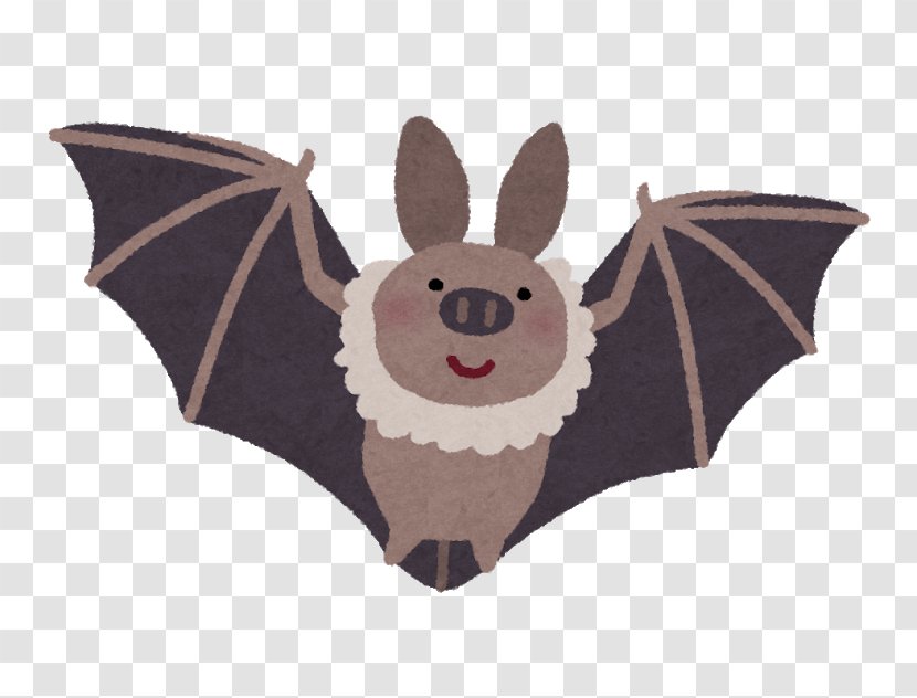 Japanese House Bat Vermin こうもり問題 Cat - Animal Transparent PNG