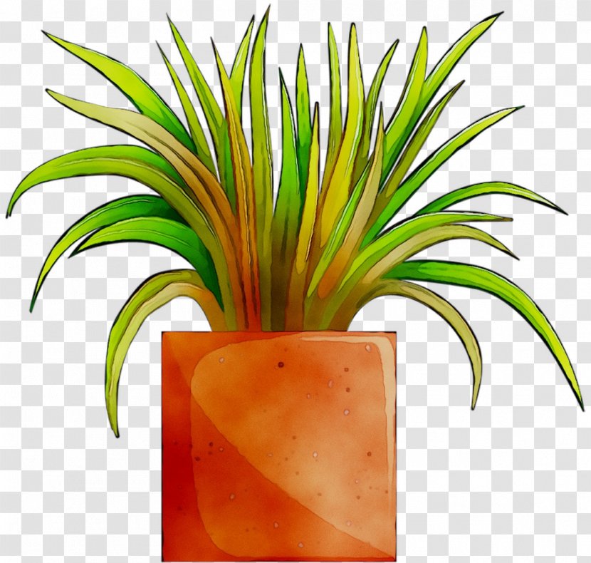 Palm Trees Flower Fruit - Tree - Flowerpot Transparent PNG