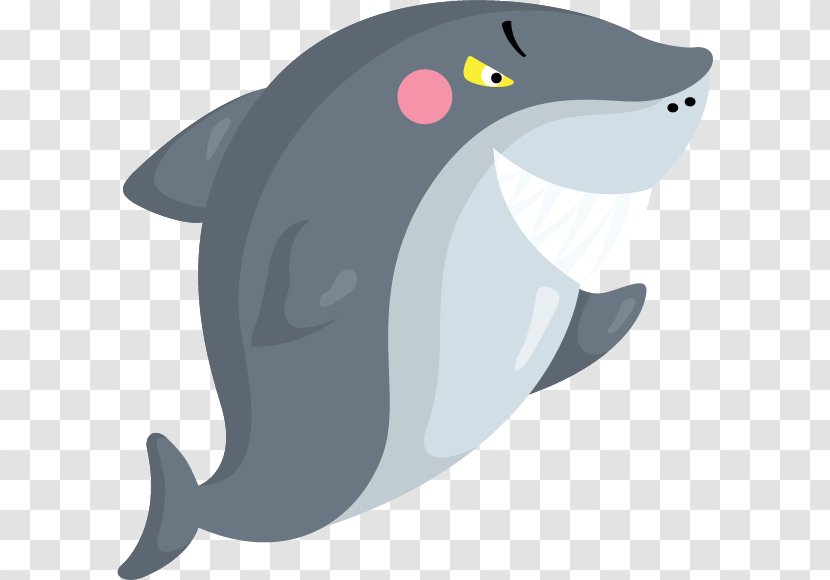 Shark Illustration - Marine Mammal - Terror Transparent PNG