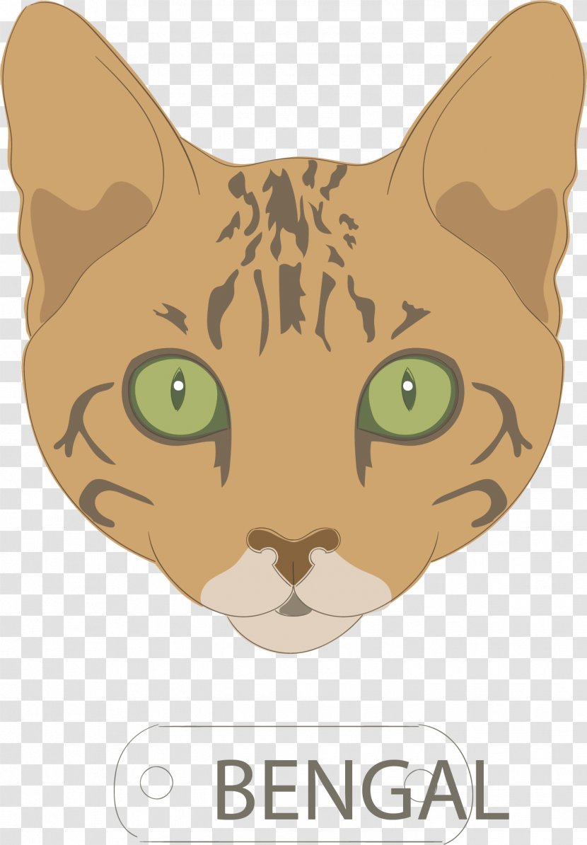 Whiskers Tabby Cat Domestic Short-haired Food - Carnivoran - Brown Vector Transparent PNG
