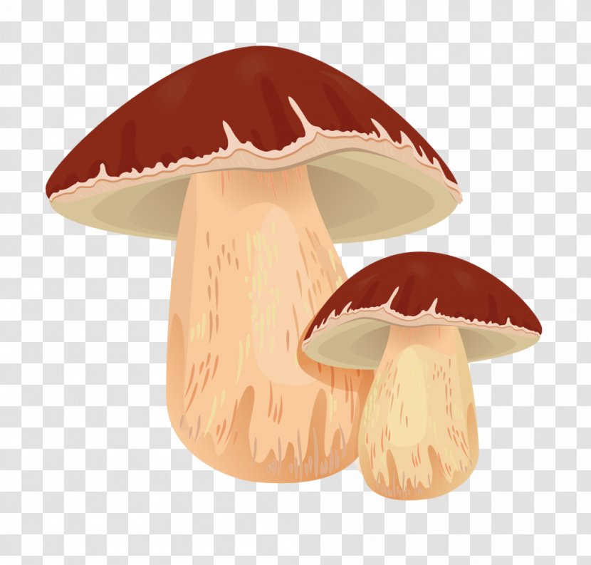 Penny Bun Edible Mushroom Common Clip Art Transparent PNG