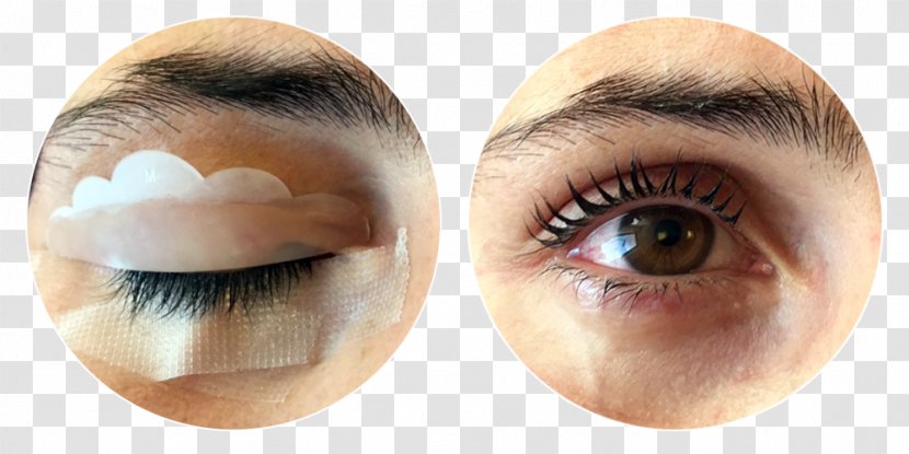 Eyelash Extensions Hair Transplantation Eye Shadow Liner - Close Up Transparent PNG