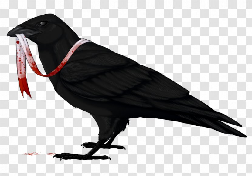 American Crow Common Raven Bird Drawing Transparent PNG