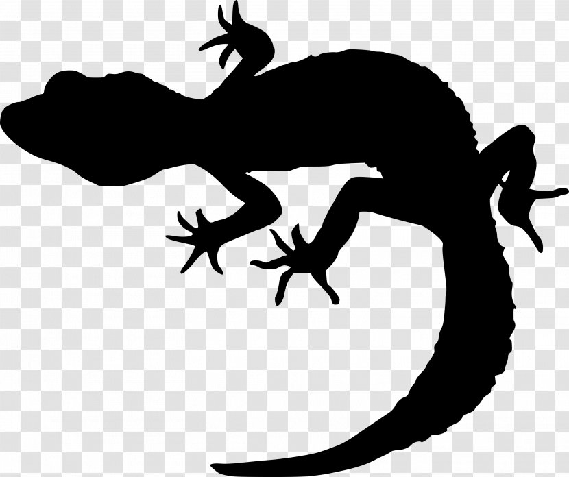 Clip Art Gecko Silhouette Lizard - Com - Dragon Drawing Transparent PNG