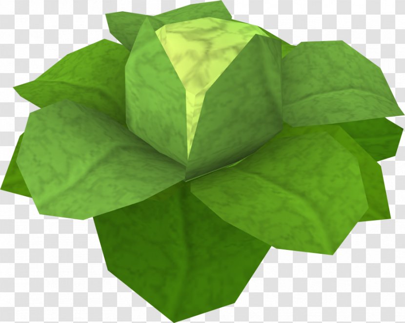 Old School RuneScape Cabbage Game Fruit Tree Transparent PNG