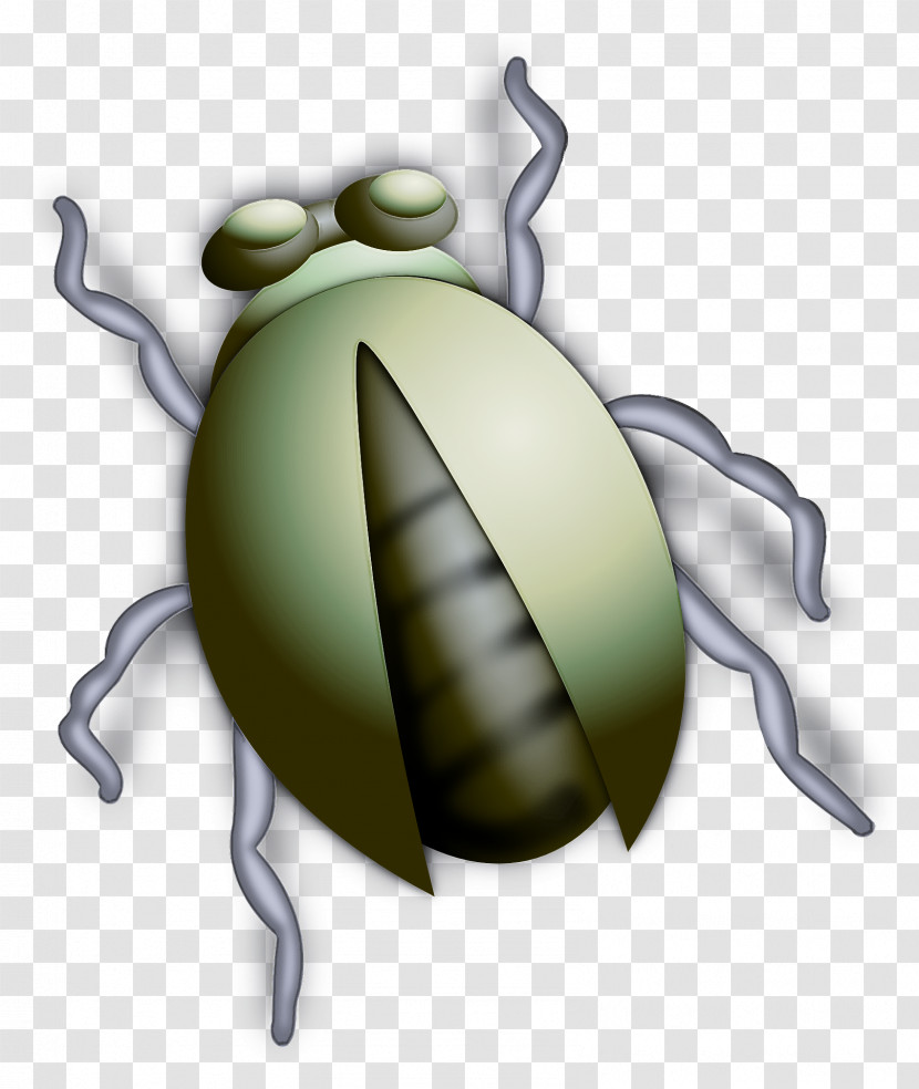 Insect Cartoon Pest Membrane-winged Insect Transparent PNG