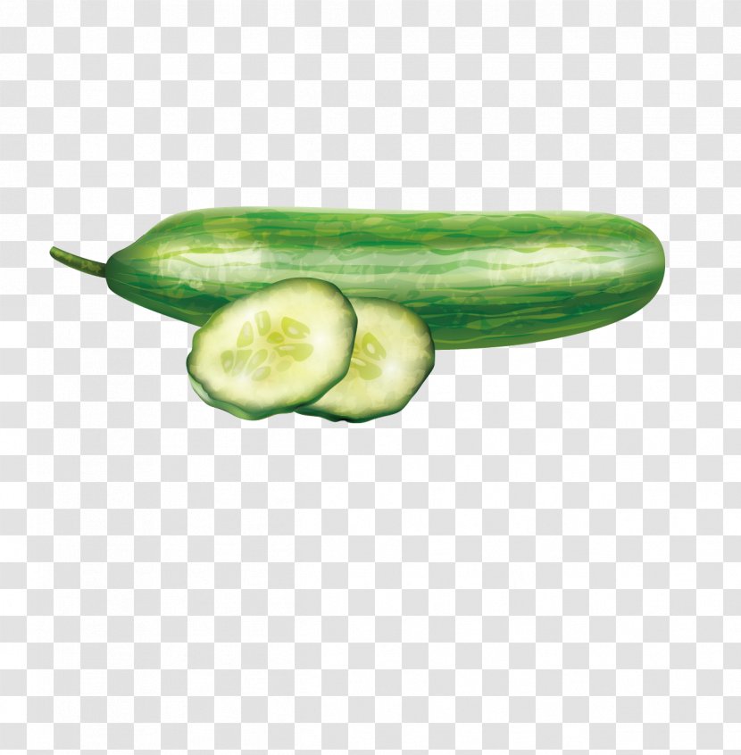 Slicing Cucumber Vegetable Computer File - Cucumis - And Slices Vector Material Transparent PNG
