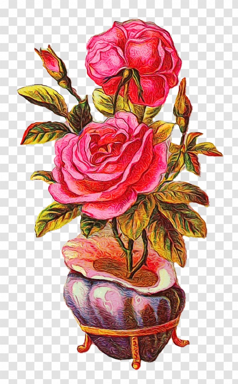 Garden Roses - Rose Family - Perennial Plant Artificial Flower Transparent PNG