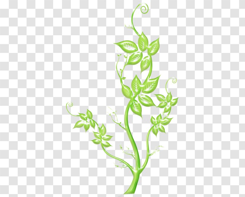 Clip Art Flower Illustration Vector Graphics - Plant - Lacy Transparent PNG