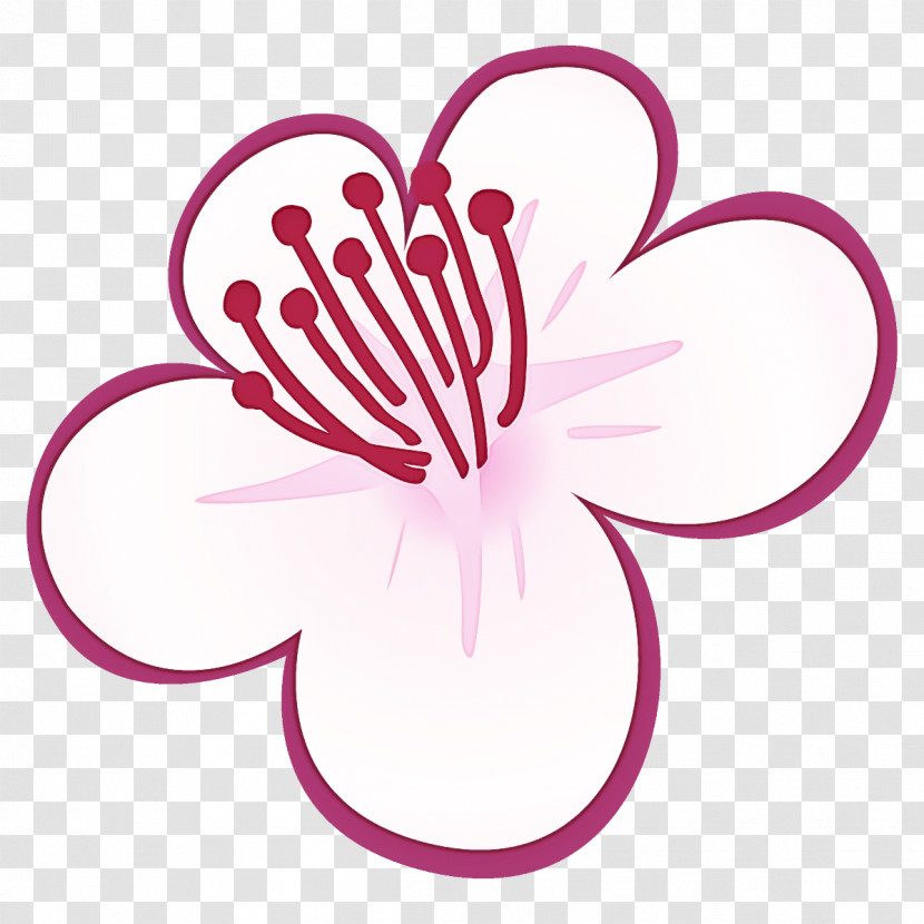 Plum Blossoms Plum Winter Flower Transparent PNG